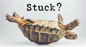Are you and your Spouse in a Rut?