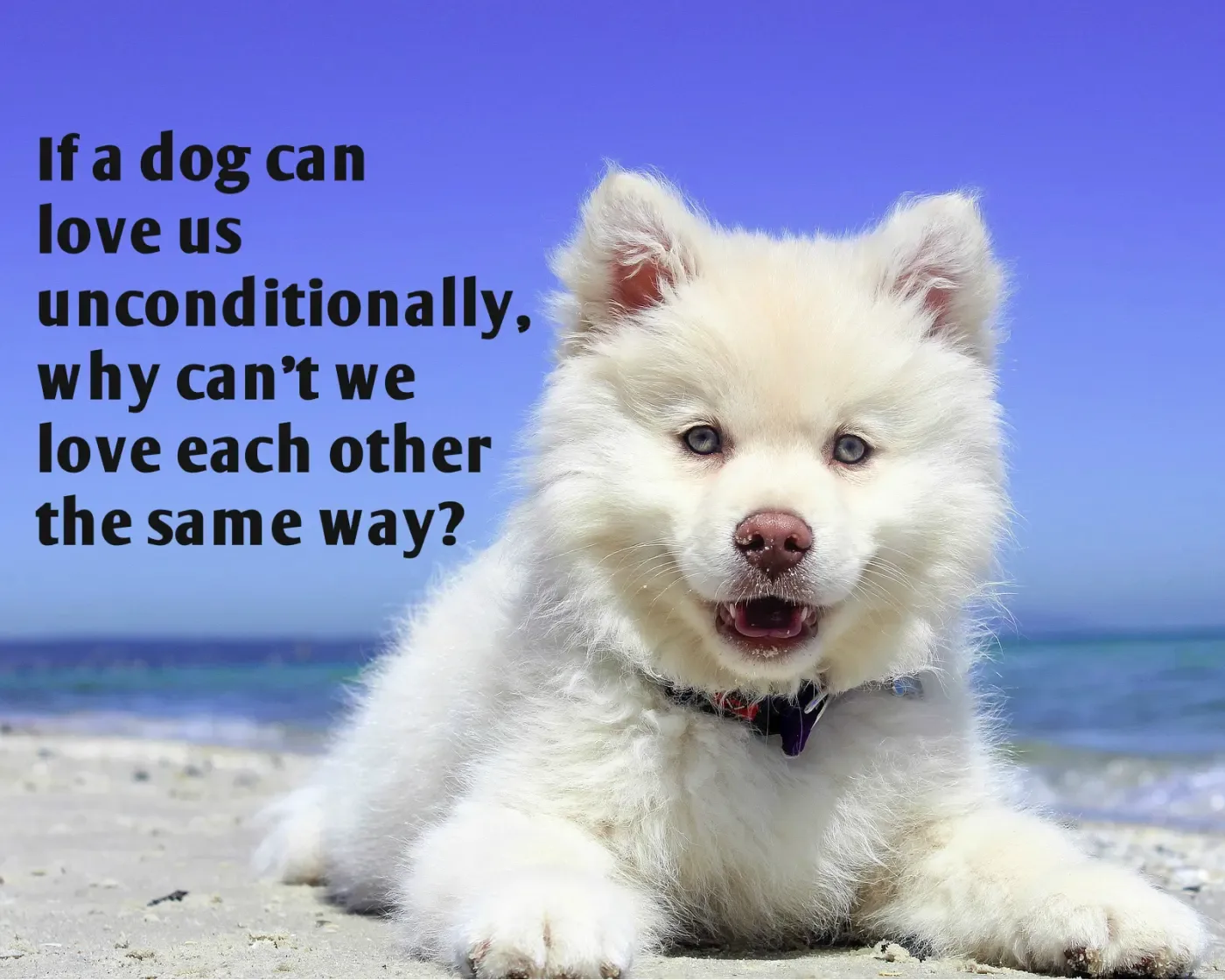 Unconditional Love...