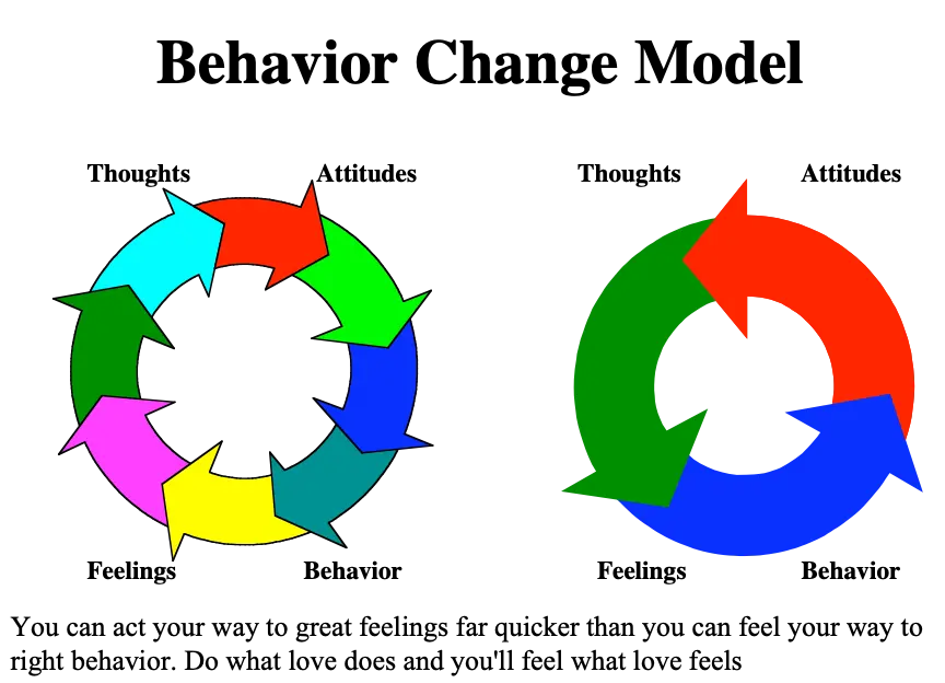 What is This Behavior Transformation Stuff?